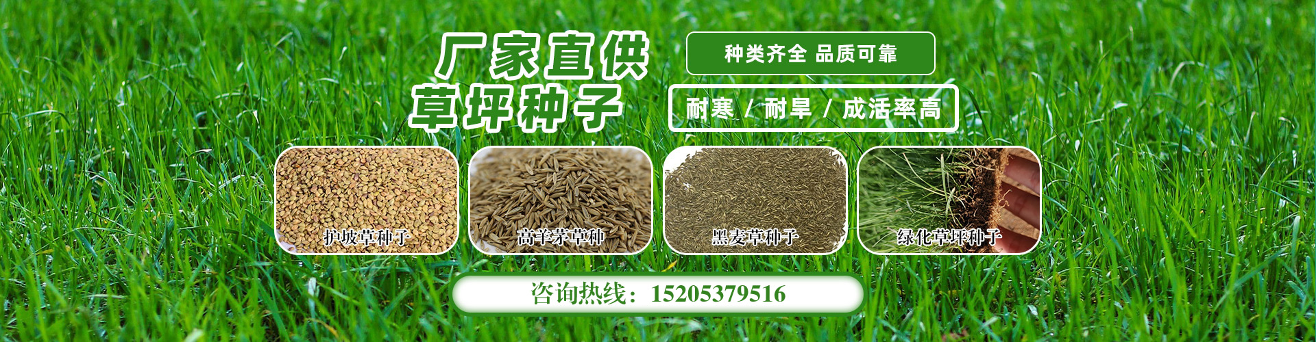 电脑幻灯片1