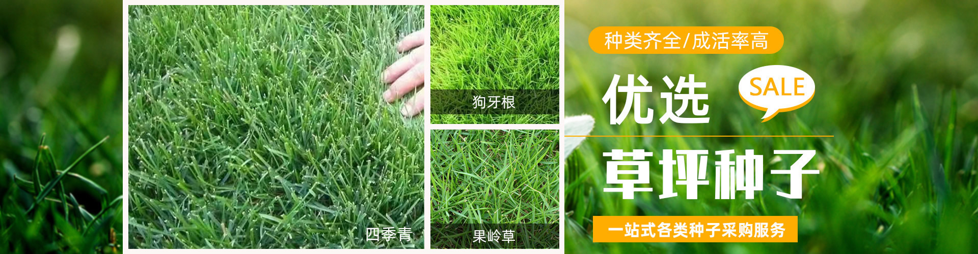 电脑幻灯片2
