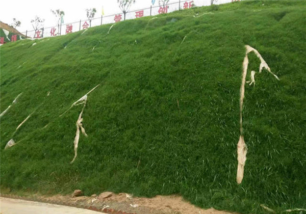 高速边坡绿化工程方案，分级护坡和草种配比设计