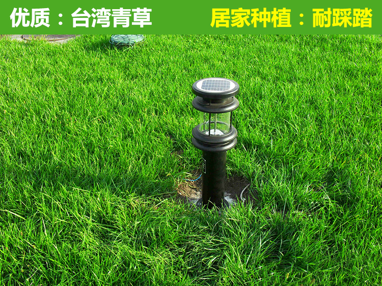 边坡种什么植物合适，按坡度坡向和土质来定