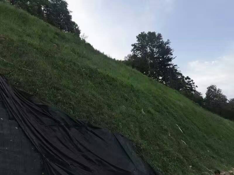 护坡工程案例11.jpg