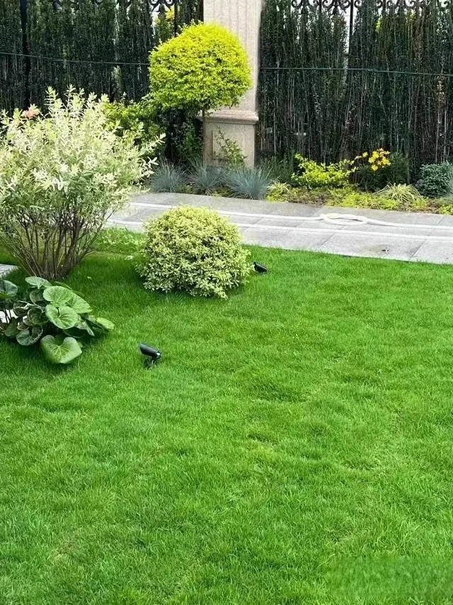 牧草种子和护坡草种的区别在哪，能不能互相顶用